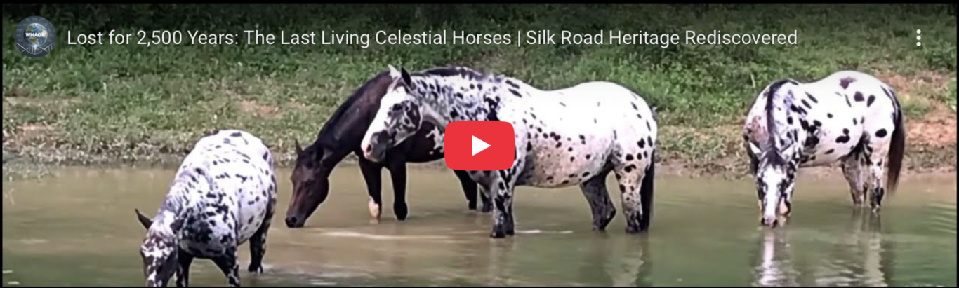 Ancient Celestial Horse Rediscovered